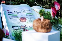 <b>《我国魔芋食物财产成长的察看取研究》：卫龙</b>